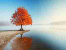 快‍速‌谷﻿歌‍SEO方‍案﻿